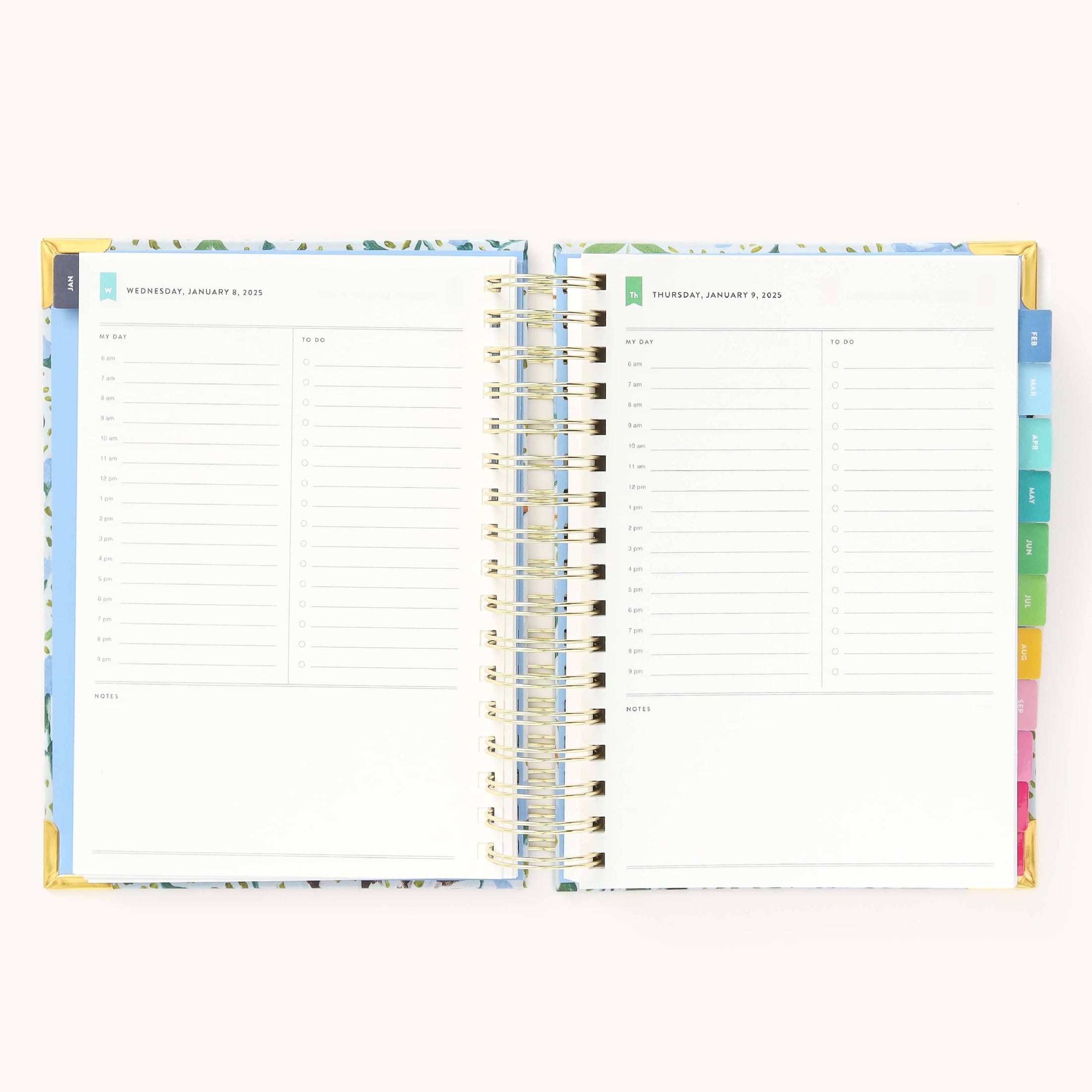 2025 Daily, Simplified Planner, Beaufort Birdies