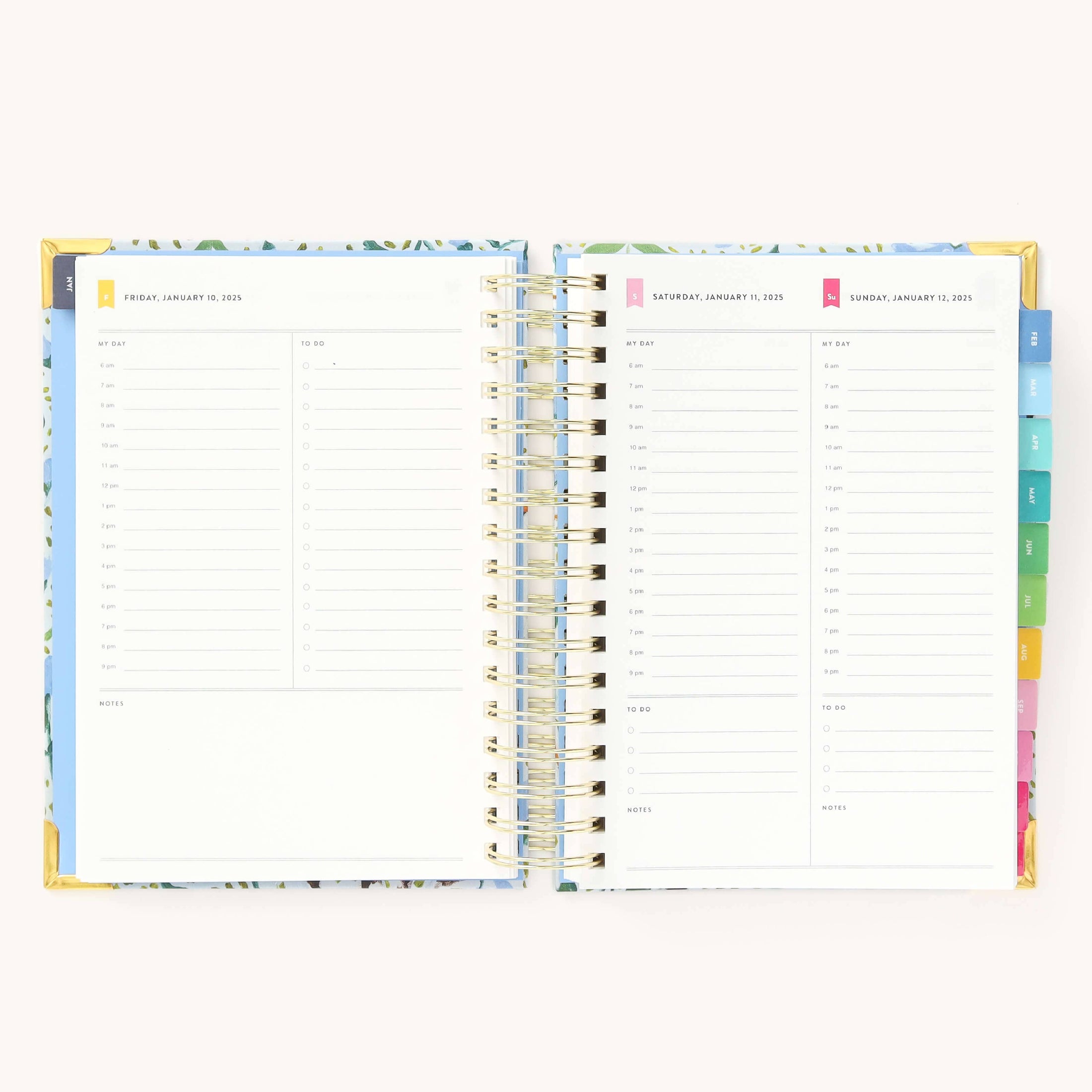 2025 Daily, Simplified Planner, Beaufort Birdies