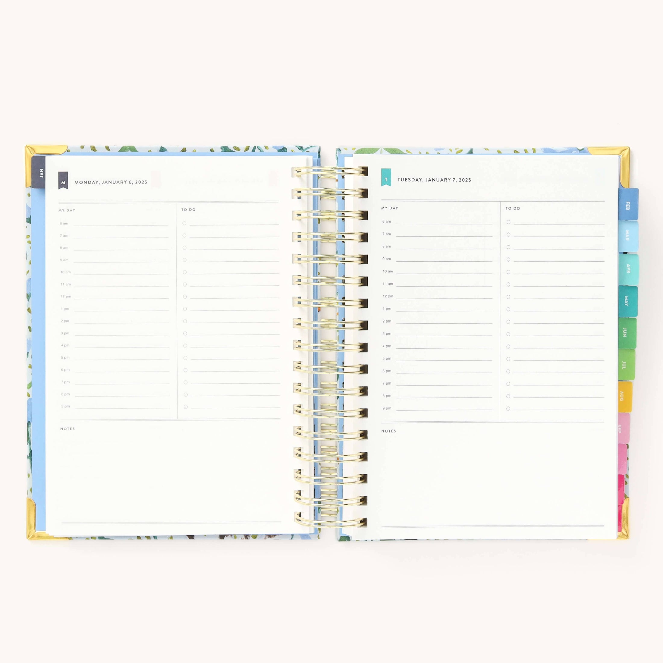 2025 Daily, Simplified Planner, Beaufort Birdies