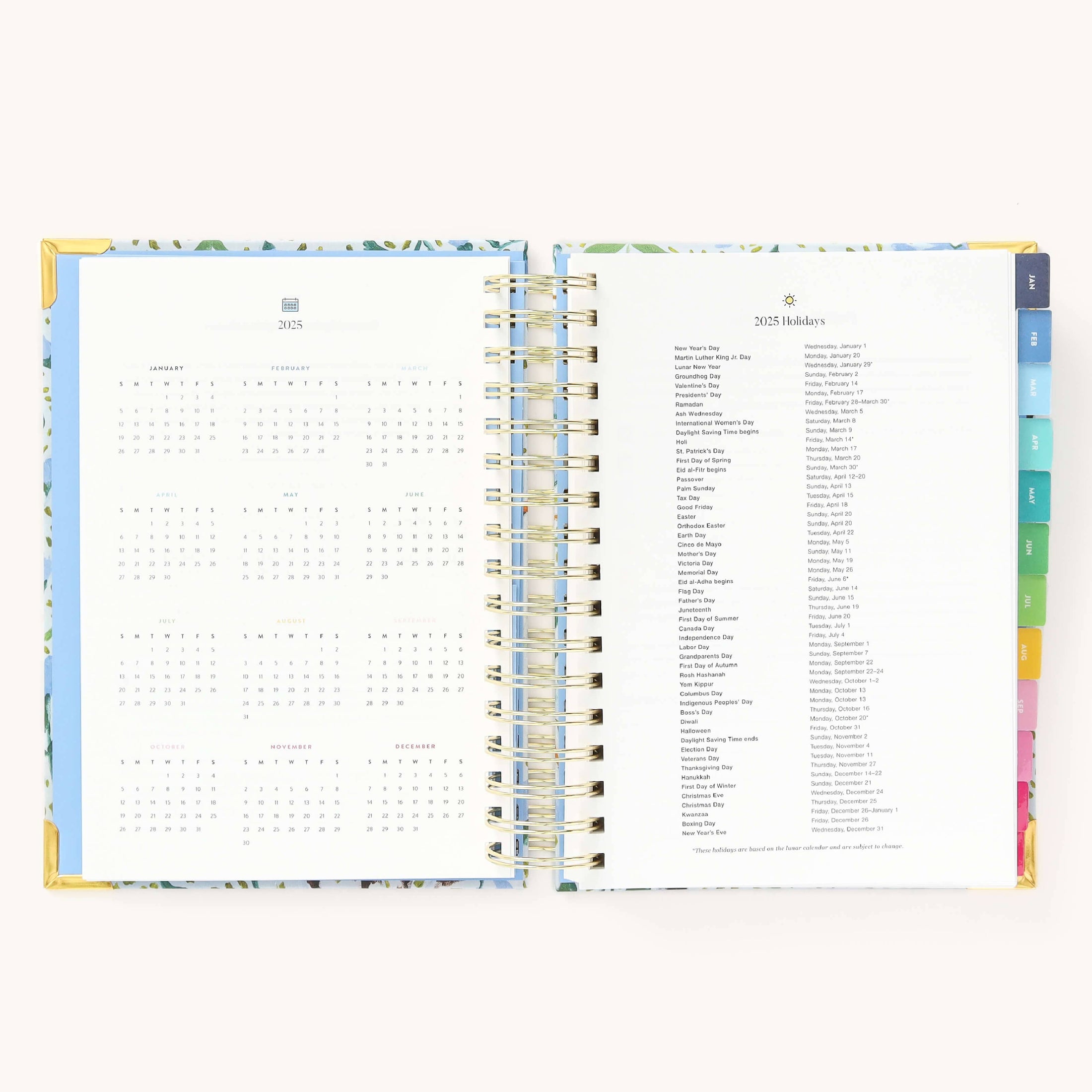 2025 Daily, Simplified Planner, Beaufort Birdies