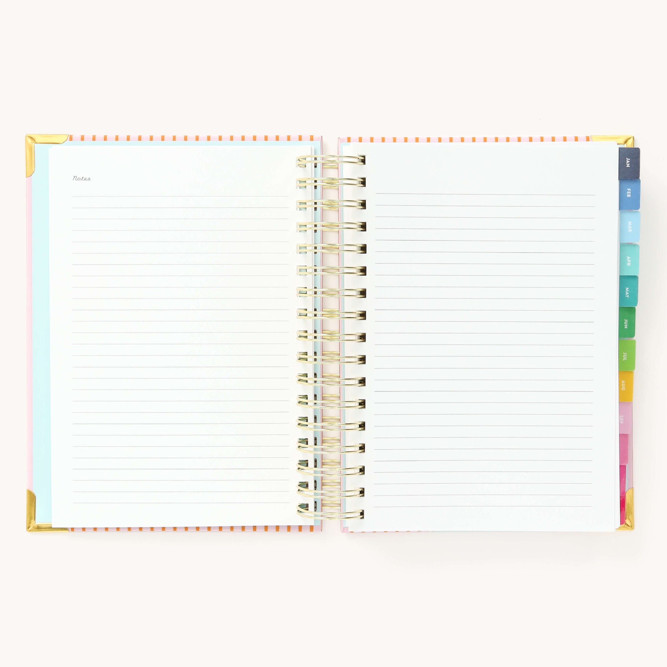 2025 Daily, Simplified Planner, Cabana Pinstripe