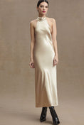 Load image into Gallery viewer, Sachin & Babi Sadie Halter Tie-Neck Hammered Satin Gown
