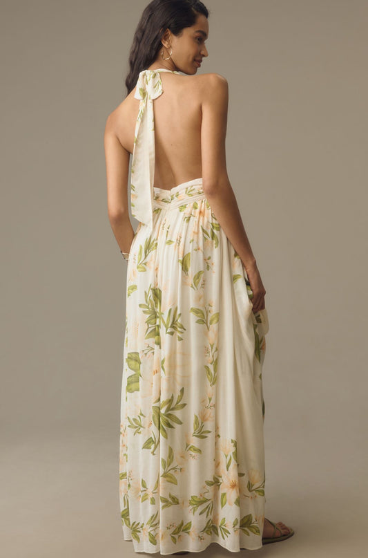 Farm Rio x Anthropologie V-Neck Floral Chiffon Maxi Dress