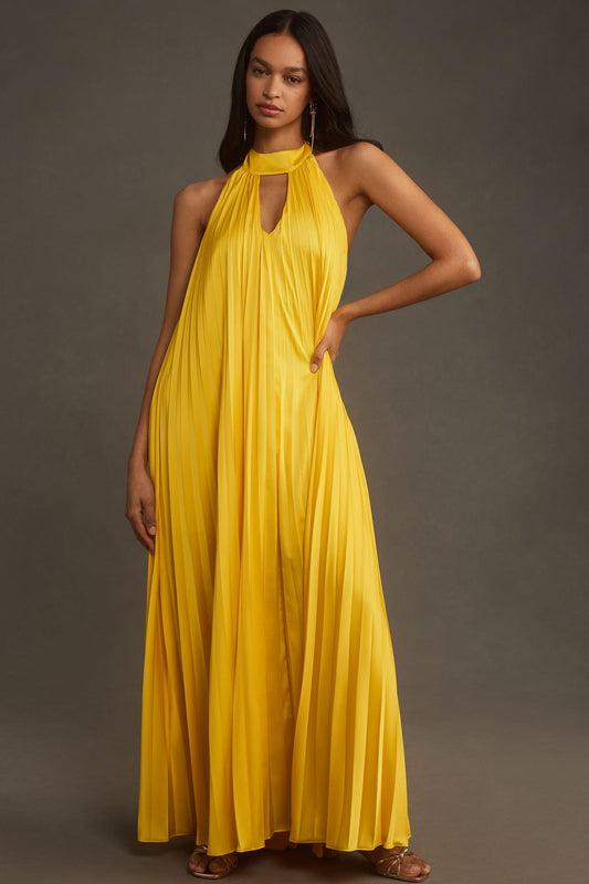 Hutch Halter Pleated Maxi Dress