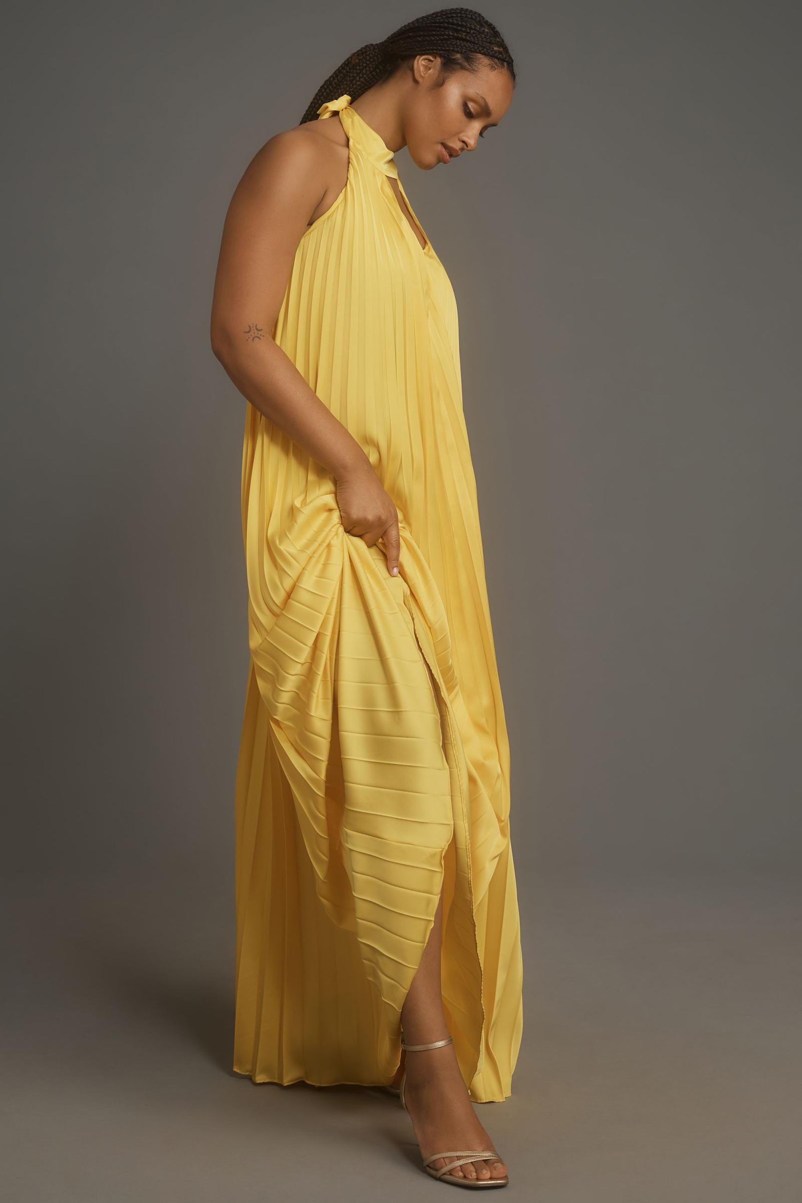 Hutch Halter Pleated Maxi Dress