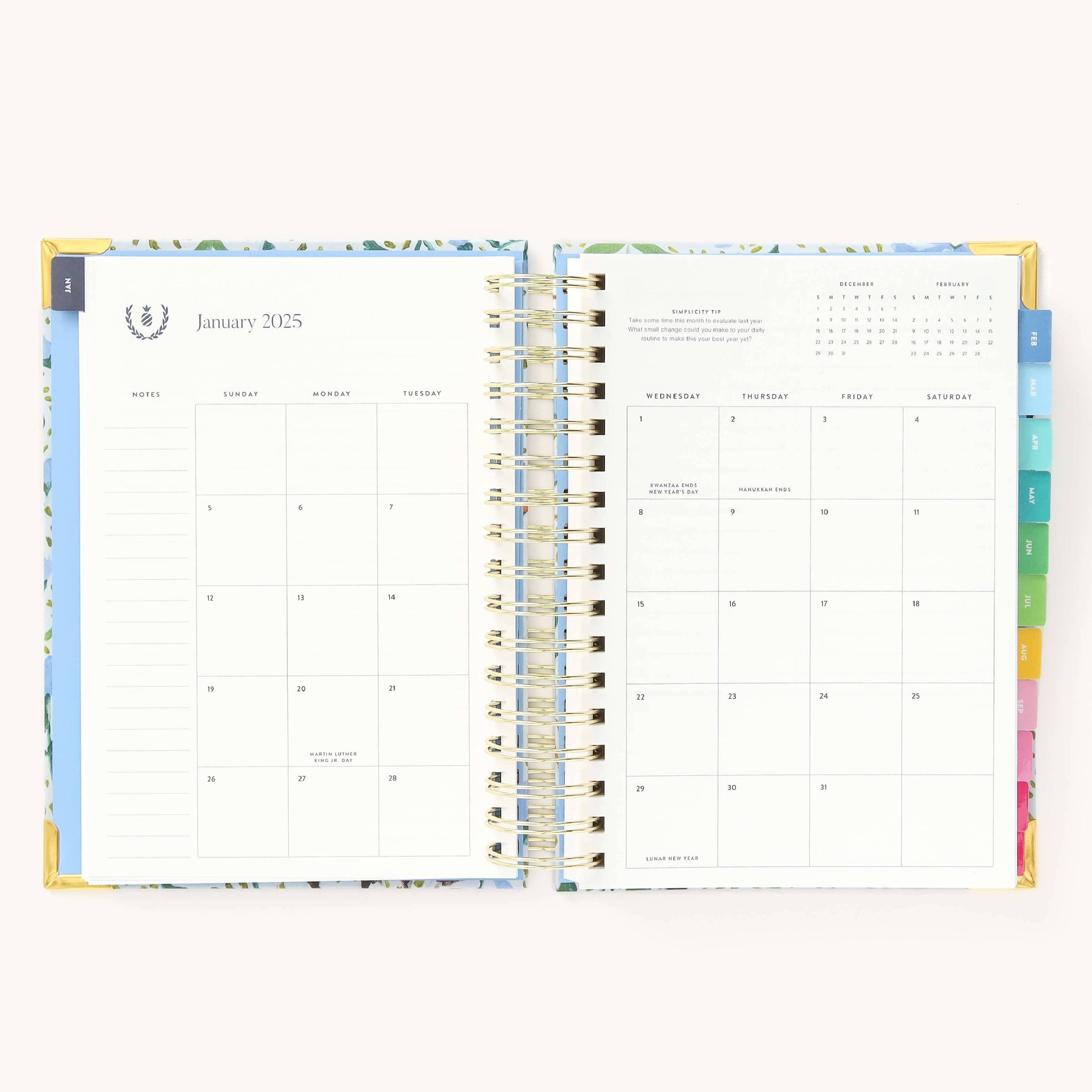 2025 Daily, Simplified Planner, Beaufort Birdies