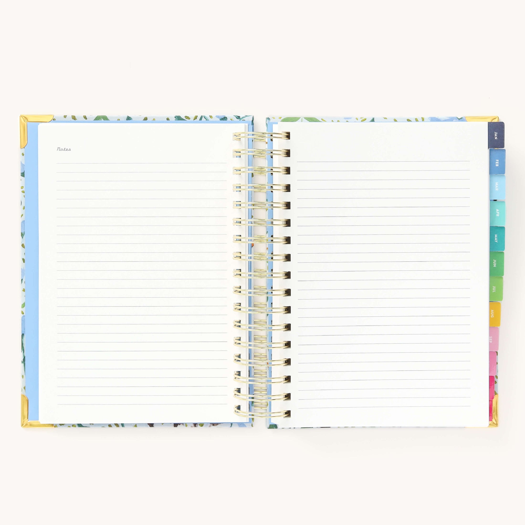 2025 Daily, Simplified Planner, Beaufort Birdies