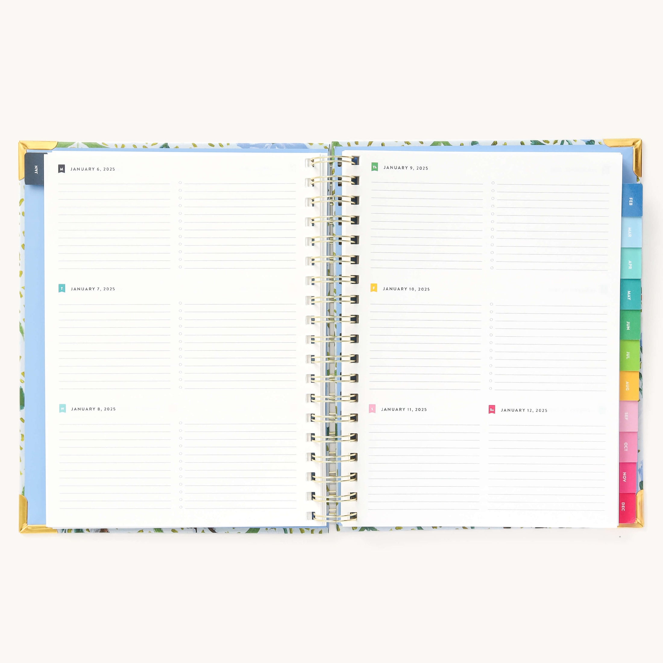 2025 Weekly, Simplified Planner, Beaufort Birdies